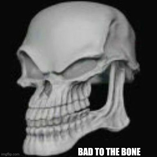 BAD TO THE BONE | image tagged in bad to the bone skull | made w/ Imgflip meme maker