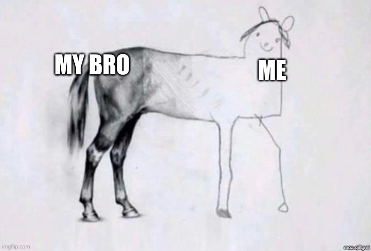 Horse Drawing | MY BRO; ME | image tagged in horse drawing | made w/ Imgflip meme maker