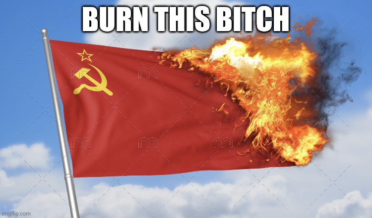 capitalism forever | BURN THIS BITCH | image tagged in burning the ussr flag | made w/ Imgflip meme maker