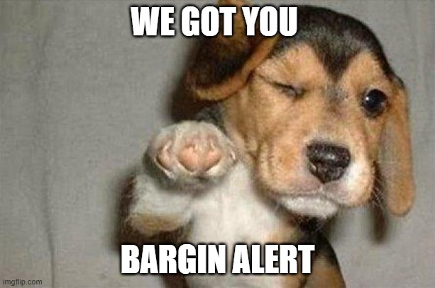 Awesome Dog | WE GOT YOU; BARGIN ALERT | image tagged in awesome dog | made w/ Imgflip meme maker