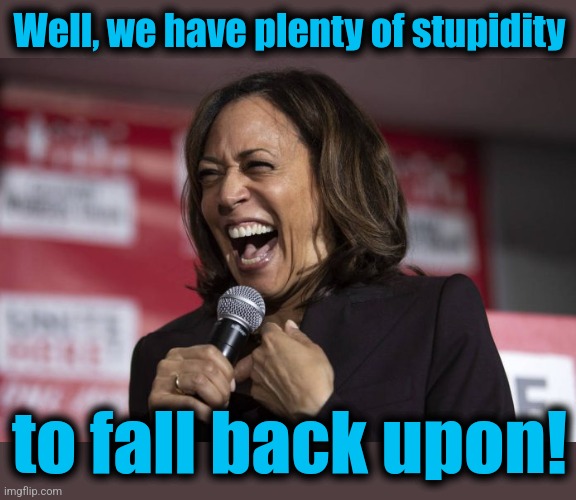 Kamala laughing | Well, we have plenty of stupidity to fall back upon! | image tagged in kamala laughing | made w/ Imgflip meme maker