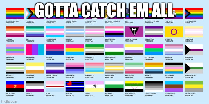 funne mem hehehehe | GOTTA CATCH EM ALL | image tagged in gay | made w/ Imgflip meme maker