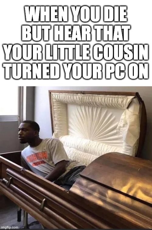 hell nah im back | WHEN YOU DIE BUT HEAR THAT YOUR LITTLE COUSIN TURNED YOUR PC ON | image tagged in coffin,memes,pc,cousin | made w/ Imgflip meme maker