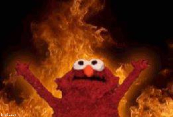 elmo  on flames | image tagged in elmo on flames | made w/ Imgflip meme maker