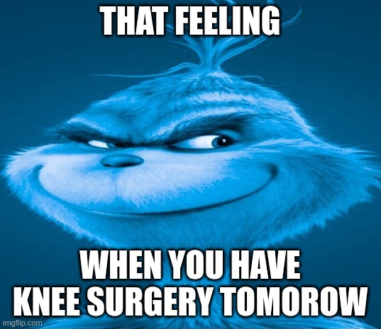 Blue Grinch | THAT FEELING; WHEN YOU HAVE KNEE SURGERY TOMORROW | image tagged in blue grinch | made w/ Imgflip meme maker