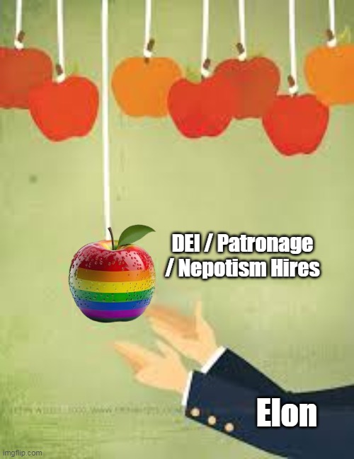 Elon DEI / Patronage / Nepotism Hires | made w/ Imgflip meme maker