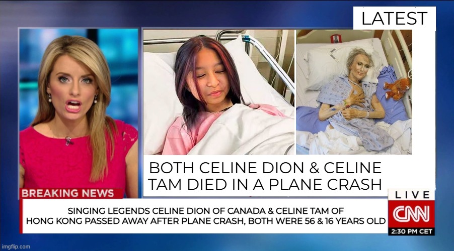 [FALSE]: Celine Dion & Celine Tam 'Passed Away after plane crash' | LATEST; BOTH CELINE DION & CELINE TAM DIED IN A PLANE CRASH; SINGING LEGENDS CELINE DION OF CANADA & CELINE TAM OF HONG KONG PASSED AWAY AFTER PLANE CRASH, BOTH WERE 56 & 16 YEARS OLD | image tagged in cnn breaking news | made w/ Imgflip meme maker