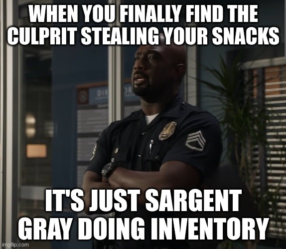 Sargent gray | WHEN YOU FINALLY FIND THE CULPRIT STEALING YOUR SNACKS; IT'S JUST SARGENT GRAY DOING INVENTORY | image tagged in sargent gray | made w/ Imgflip meme maker