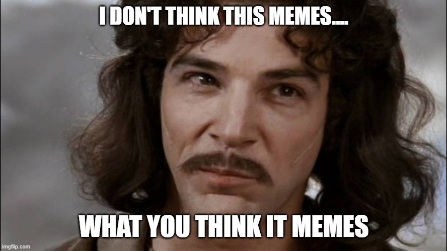 what it memes | I DON'T THINK THIS MEMES.... WHAT YOU THINK IT MEMES | image tagged in meme,princess bride,misunderstand,wrong | made w/ Imgflip meme maker