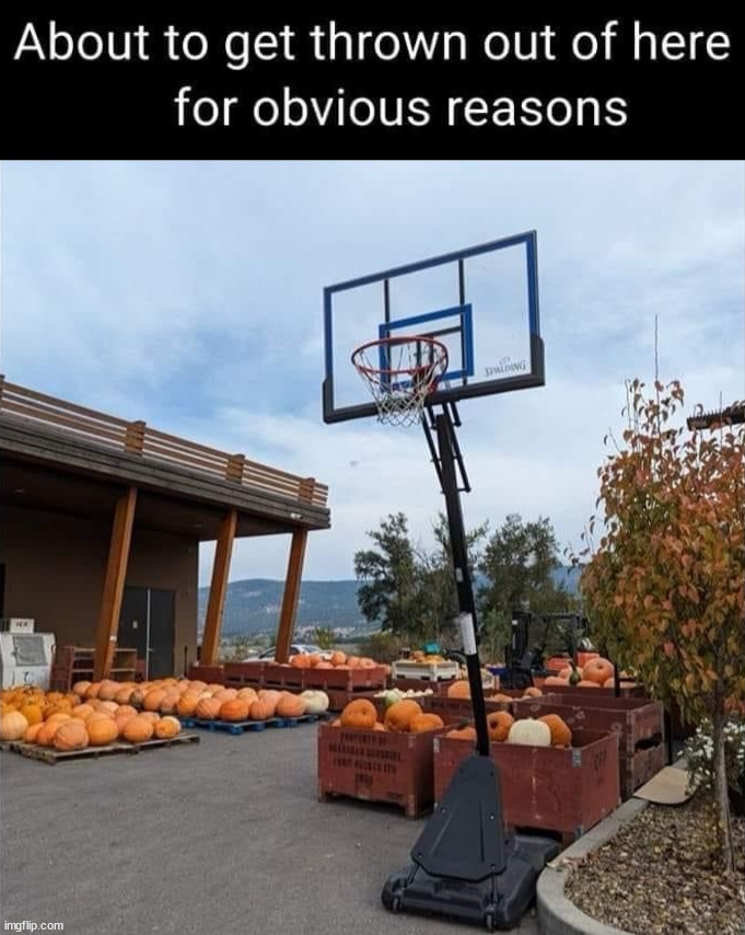 To the hoop | image tagged in slam dunk,pumpkins | made w/ Imgflip meme maker