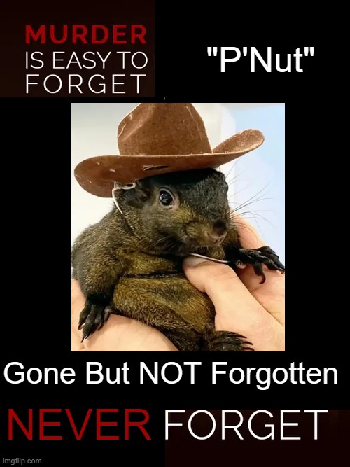 RIP, Peanut | "P'Nut"; Gone But NOT Forgotten; NEVER | image tagged in death,by democrats,evil government,overreach,peanut the squirrel,gone | made w/ Imgflip meme maker