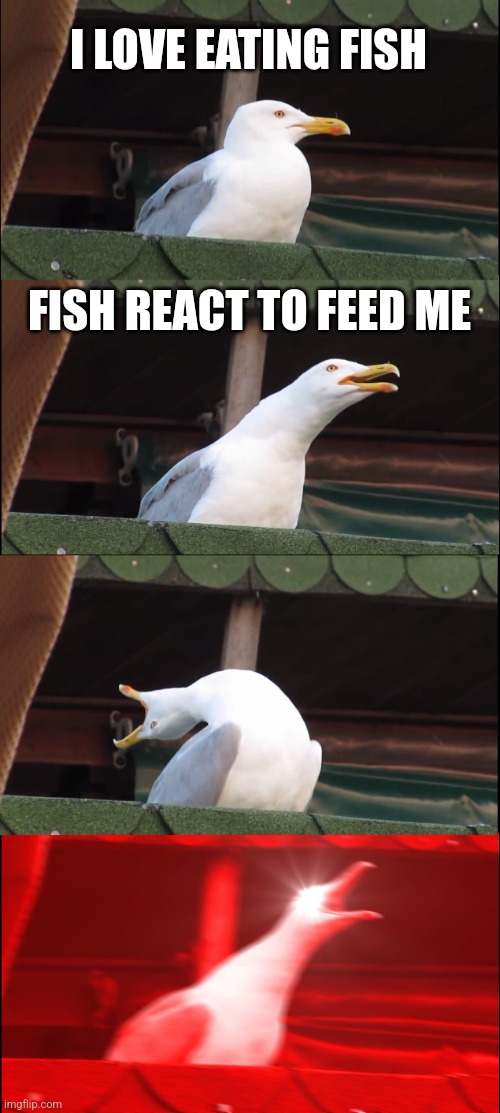 Inhaling Seagull | I LOVE EATING FISH; FISH REACT TO FEED ME | image tagged in memes,inhaling seagull | made w/ Imgflip meme maker