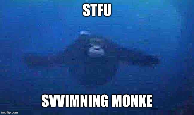 Swimning monke | image tagged in swimning monke | made w/ Imgflip meme maker