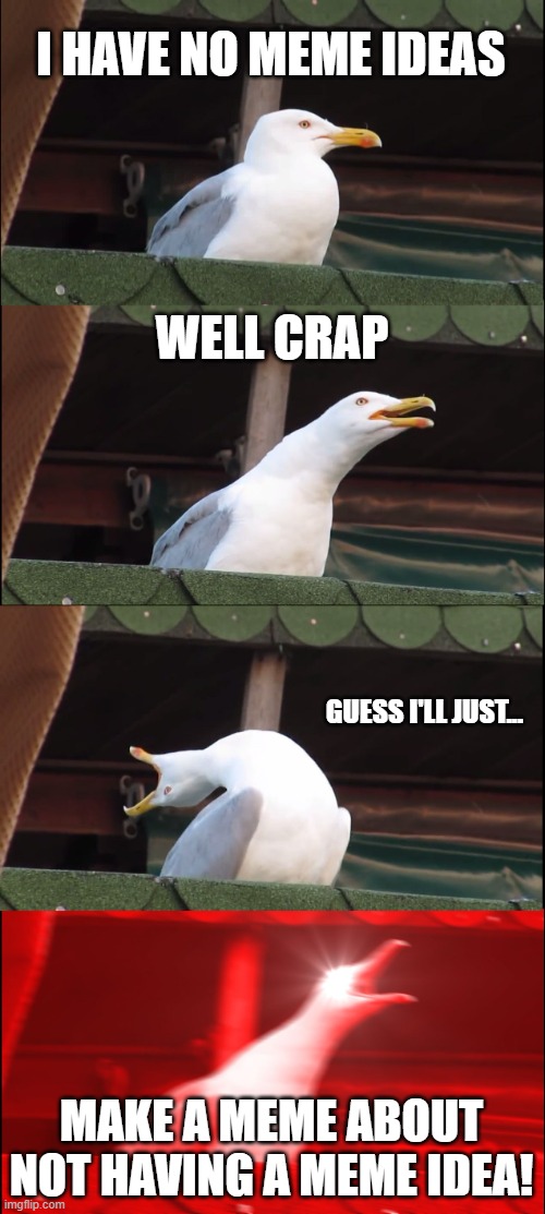 RAAHHHH | I HAVE NO MEME IDEAS; WELL CRAP; GUESS I'LL JUST... MAKE A MEME ABOUT NOT HAVING A MEME IDEA! | image tagged in memes,inhaling seagull,no ideas | made w/ Imgflip meme maker