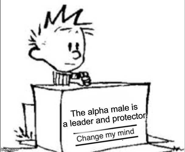 Calvin Change my mind | The alpha male is a leader and protector. | image tagged in calvin change my mind | made w/ Imgflip meme maker