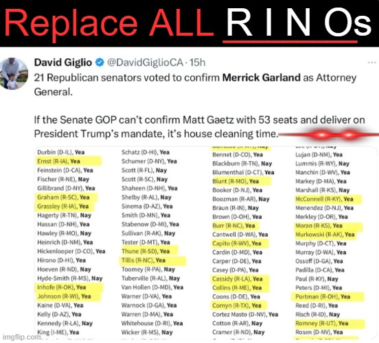 Republicans In Name Only | Replace ALL; R I N Os; _________ | image tagged in disgusting,rino,joins the battle,democrats,liberals vs conservatives,resistance | made w/ Imgflip meme maker