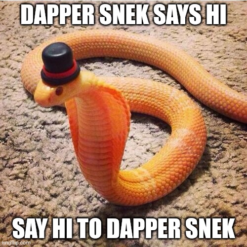 Snek | DAPPER SNEK SAYS HI; SAY HI TO DAPPER SNEK | image tagged in dapper snek,snek | made w/ Imgflip meme maker