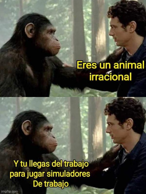 9b113k.jpg
