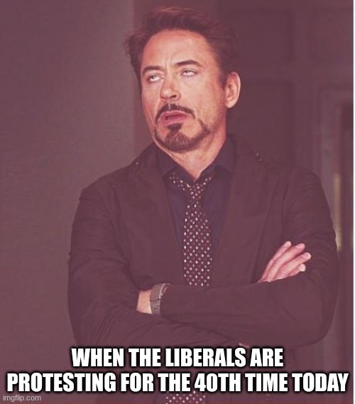 Face You Make Robert Downey Jr | WHEN THE LIBERALS ARE PROTESTING FOR THE 40TH TIME TODAY | image tagged in memes,face you make robert downey jr,politics | made w/ Imgflip meme maker