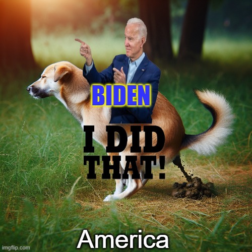 Dog taking a shit | BIDEN America | image tagged in dog taking a shit | made w/ Imgflip meme maker