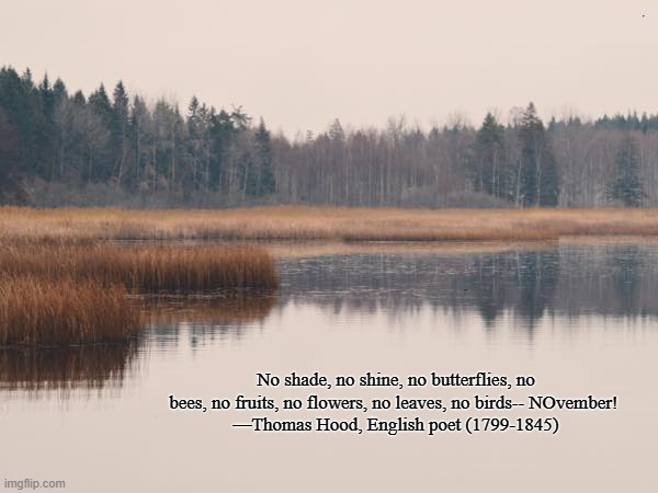 NOvember | No shade, no shine, no butterflies, no bees, no fruits, no flowers, no leaves, no birds-- NOvember! 
—Thomas Hood, English poet (1799-1845) | image tagged in poetry,november,autumn,fall,thomas hood | made w/ Imgflip meme maker