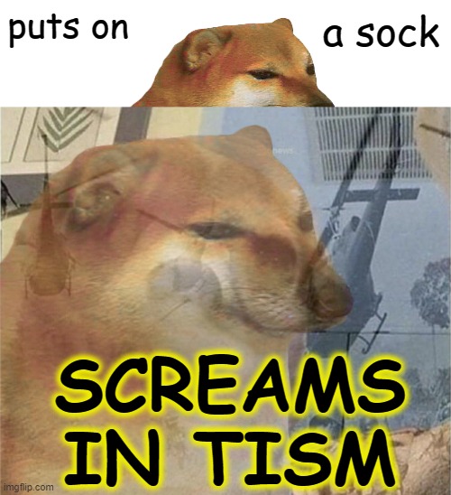 In loving memory of the first person to SEE me and neurodivergence | puts on; a sock; SCREAMS
IN TISM | image tagged in cheems,cheems ptsd,autism | made w/ Imgflip meme maker