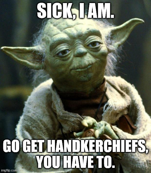 Star Wars Yoda | SICK, I AM. GO GET HANDKERCHIEFS, YOU HAVE TO. | image tagged in memes,star wars yoda,sick,yoda,star wars | made w/ Imgflip meme maker