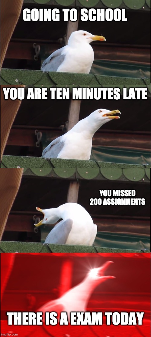 Inhaling Seagull Meme | GOING TO SCHOOL; YOU ARE TEN MINUTES LATE; YOU MISSED 200 ASSIGNMENTS; THERE IS A EXAM TODAY | image tagged in memes,inhaling seagull,exam | made w/ Imgflip meme maker