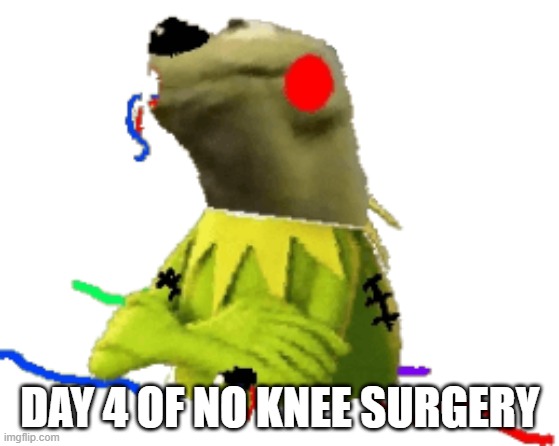 withered figure kermert | DAY 4 OF NO KNEE SURGERY | image tagged in withered figure kermert | made w/ Imgflip meme maker