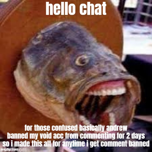 Pogfish | hello chat; for those confused basically andrew banned my void acc from commenting for 2 days so i made this alt for anytime i get comment banned | image tagged in pogfish | made w/ Imgflip meme maker