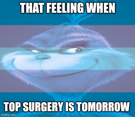 THAT FEELING WHEN; TOP SURGERY IS TOMORROW | made w/ Imgflip meme maker