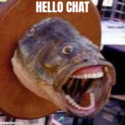 Pogfish | HELLO CHAT | image tagged in pogfish | made w/ Imgflip meme maker