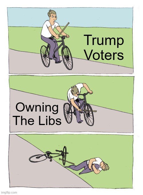 Bike Fall Meme | Trump Voters; Owning The Libs | image tagged in memes,bike fall | made w/ Imgflip meme maker