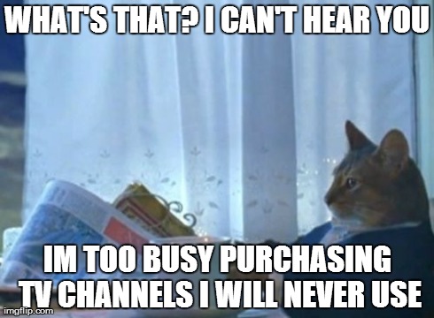TV was made for buying  | WHAT'S THAT? I CAN'T HEAR YOU IM TOO BUSY PURCHASING TV CHANNELS I WILL NEVER USE | image tagged in memes,i should buy a boat cat | made w/ Imgflip meme maker
