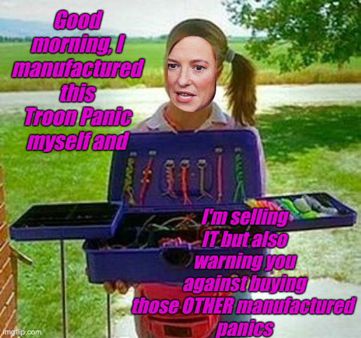 Thatsa Lotta Psaki ! | Good morning, I manufactured this Troon Panic myself and; I'm selling IT but also warning you against buying those OTHER manufactured 
panics | image tagged in napoleon dynamite - deb,political meme,politics,funny memes,funny,psaki | made w/ Imgflip meme maker