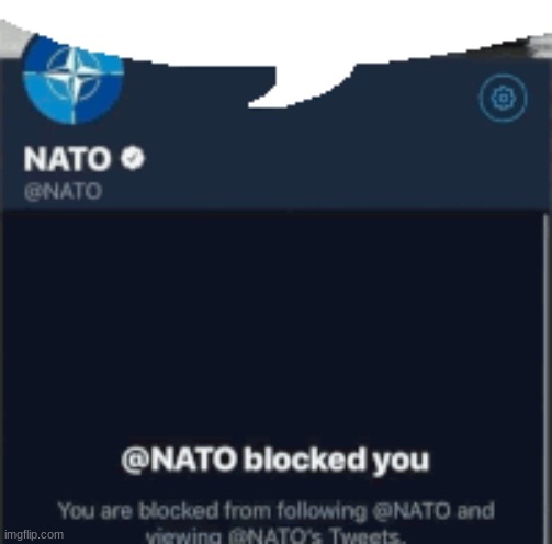 NATO Blocked you | image tagged in nato blocked you | made w/ Imgflip meme maker