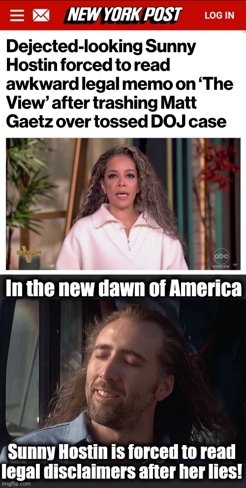 Apparently the network now knows they'll get sued over lies spewed on "The View" | In the new dawn of America; Sunny Hostin is forced to read legal disclaimers after her lies! | image tagged in nicholas cage wind in hair,the view,sunny hostin,legal disclaimers,lies,democrats | made w/ Imgflip meme maker