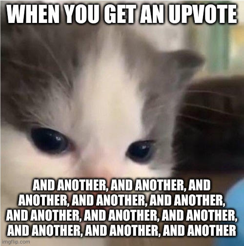 Hehe cat | WHEN YOU GET AN UPVOTE; AND ANOTHER, AND ANOTHER, AND ANOTHER, AND ANOTHER, AND ANOTHER, AND ANOTHER, AND ANOTHER, AND ANOTHER, AND ANOTHER, AND ANOTHER, AND ANOTHER | image tagged in hehe cat | made w/ Imgflip meme maker