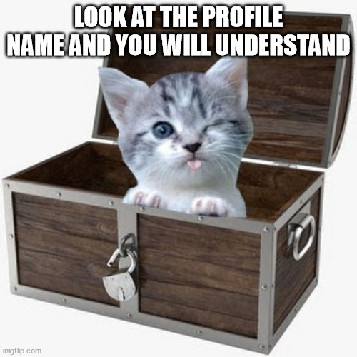 TheCatOfTheChest's pfp | LOOK AT THE PROFILE NAME AND YOU WILL UNDERSTAND | image tagged in cats,cat,chest,profile picture,thecatofthechest | made w/ Imgflip meme maker