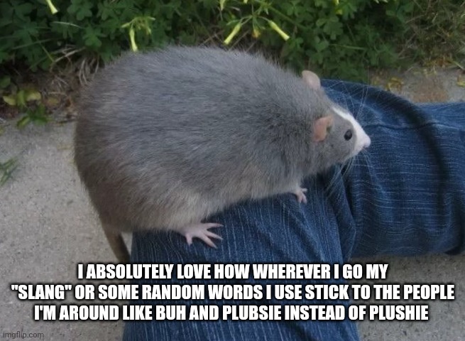 Da beeg rat | I ABSOLUTELY LOVE HOW WHEREVER I GO MY "SLANG" OR SOME RANDOM WORDS I USE STICK TO THE PEOPLE I'M AROUND LIKE BUH AND PLUBSIE INSTEAD OF PLUSHIE | image tagged in da beeg rat | made w/ Imgflip meme maker