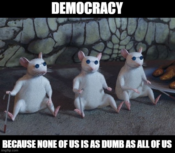 Democracy: Because none of us is as dumb as all of us | DEMOCRACY; BECAUSE NONE OF US IS AS DUMB AS ALL OF US | image tagged in three blind mice | made w/ Imgflip meme maker