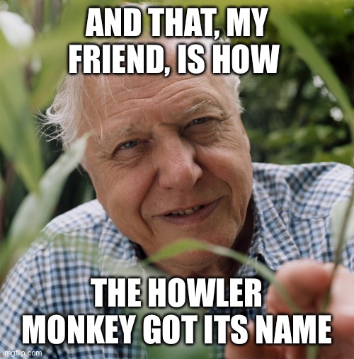 Sir David Attenborough | AND THAT, MY FRIEND, IS HOW THE HOWLER MONKEY GOT ITS NAME | image tagged in sir david attenborough | made w/ Imgflip meme maker