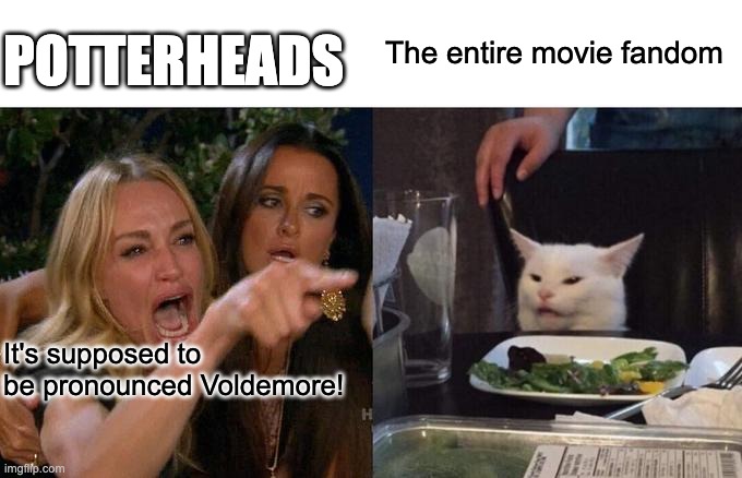 Woman Yelling At Cat | POTTERHEADS; The entire movie fandom; It's supposed to be pronounced Voldemore! | image tagged in memes,woman yelling at cat | made w/ Imgflip meme maker