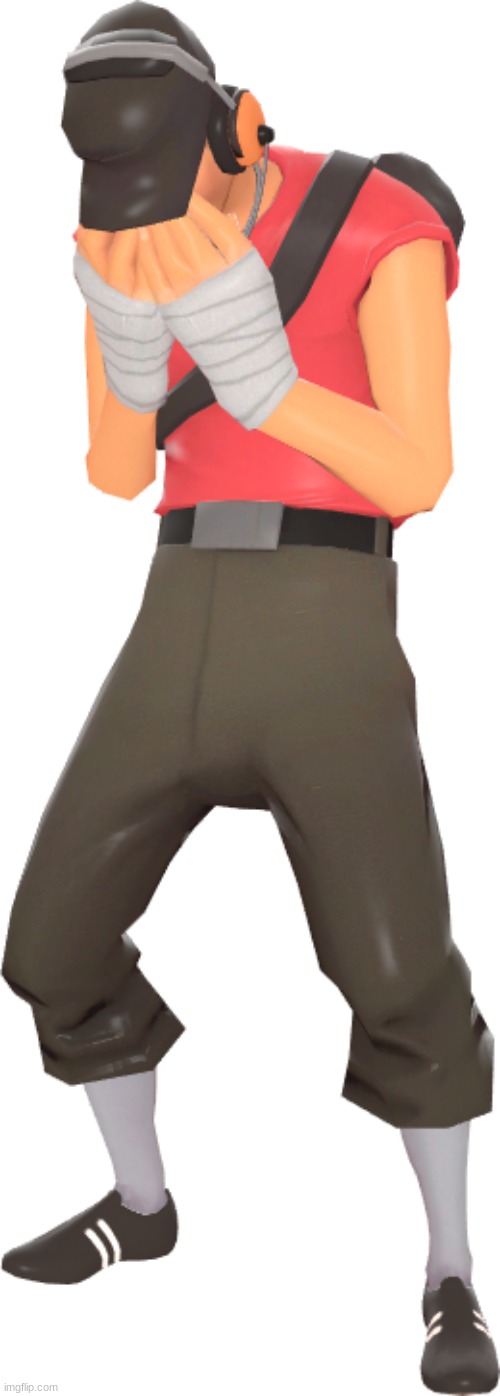 tf2 scout cry | image tagged in tf2 scout cry | made w/ Imgflip meme maker