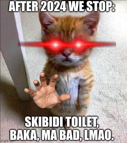 cute cat standing | AFTER 2024 WE STOP:; SKIBIDI TOILET, BAKA, MA BAD, LMAO. | image tagged in cute cat standing,cat,el gato,reference,lmao,stop it | made w/ Imgflip meme maker