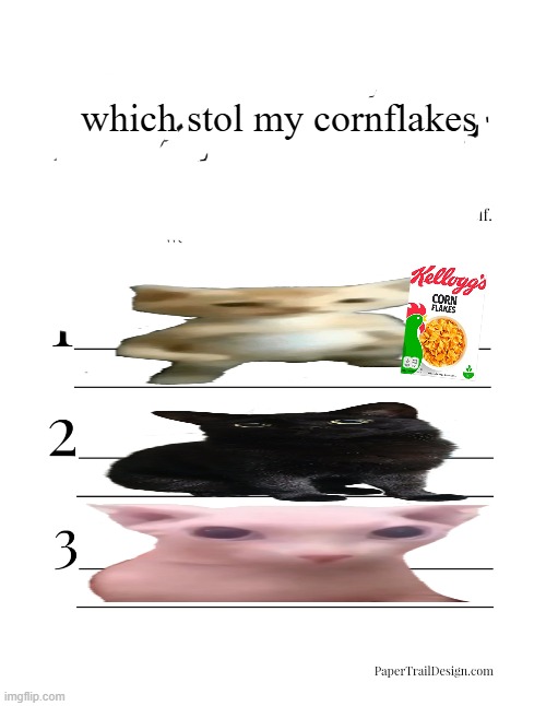 2 Truths and a Lie | which stol my cornflakes | made w/ Imgflip meme maker