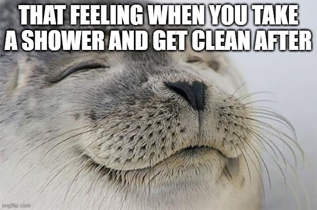 and when you're a girl and you get done shaving it always feels nice | THAT FEELING WHEN YOU TAKE A SHOWER AND GET CLEAN AFTER | image tagged in memes,satisfied seal,relatable | made w/ Imgflip meme maker