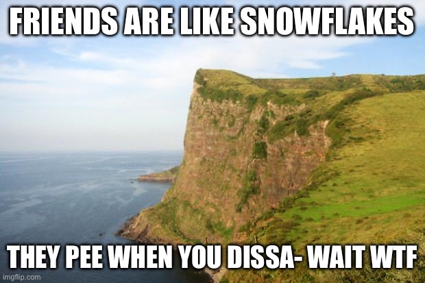 I messed up | FRIENDS ARE LIKE SNOWFLAKES; THEY PEE WHEN YOU DISSA- WAIT WTF | image tagged in cliff | made w/ Imgflip meme maker