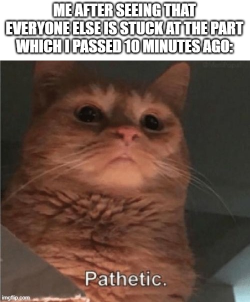 Pathetic Cat | ME AFTER SEEING THAT EVERYONE ELSE IS STUCK AT THE PART WHICH I PASSED 10 MINUTES AGO: | image tagged in pathetic cat | made w/ Imgflip meme maker