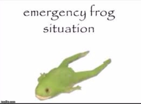 image tagged in emergency frog situation | made w/ Imgflip meme maker